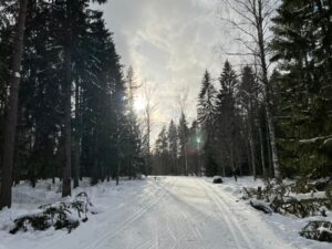 Ca 25 cm nysnö i Högbo ger fin vårskidåkning med 9,5 km spår